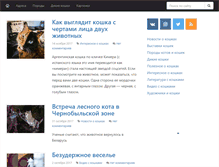 Tablet Screenshot of funcats.by